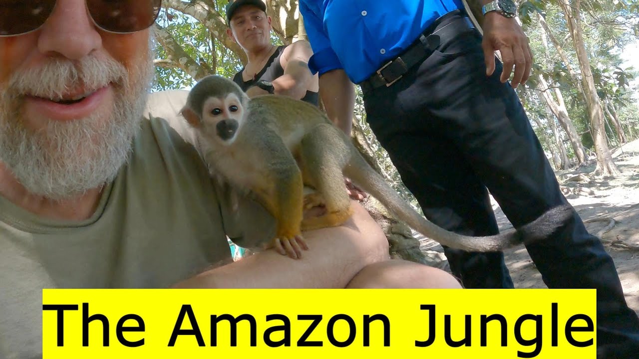 🇵🇪 Amazon River and Jungle Lodge - Day 1 (Iquitos, Peru)