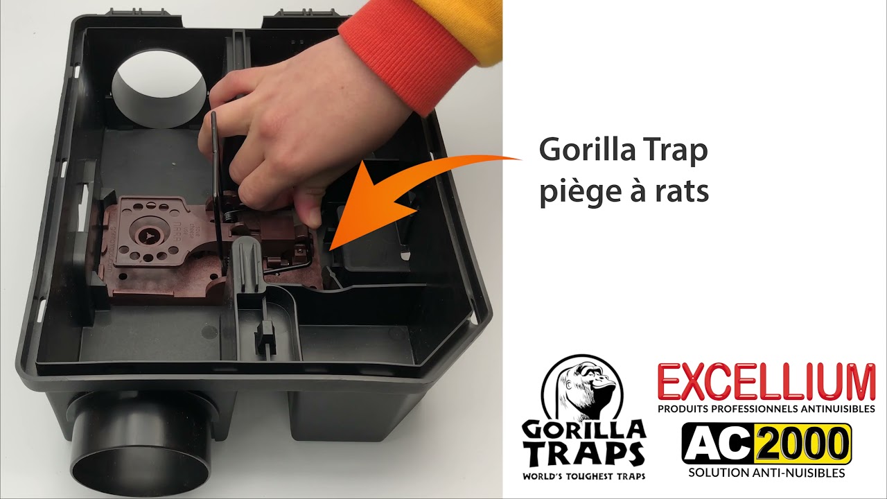 Piège à rats Gorilla Trap et poste d’appâtage Vanguard : ça sonne un rat est piégé !