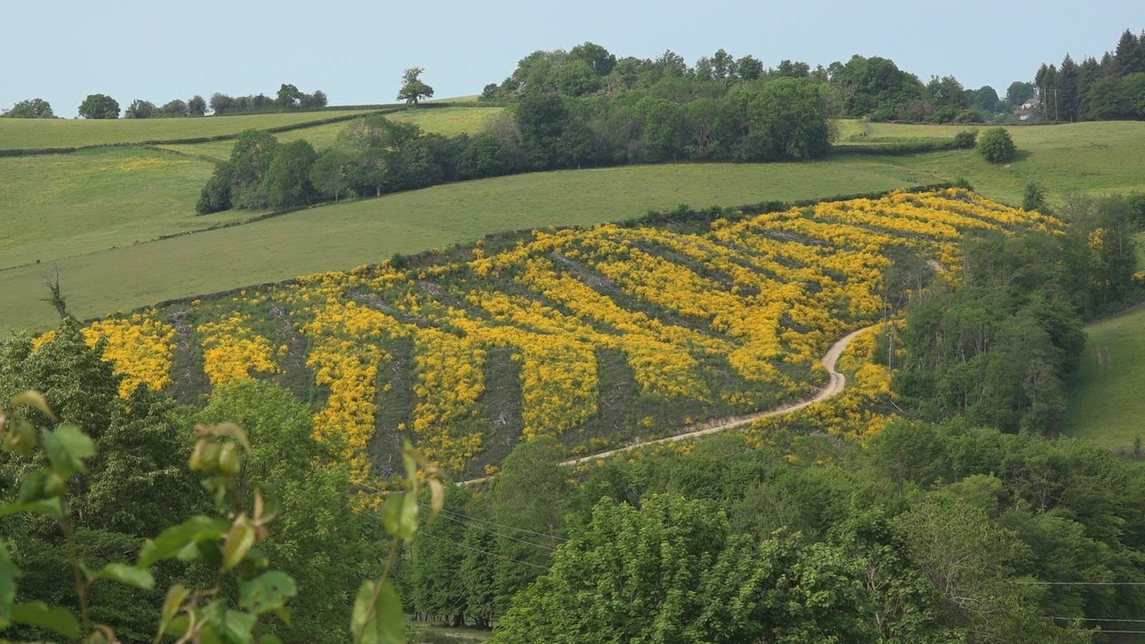 FRANCE - Morvan - Montigny - en - Morvan