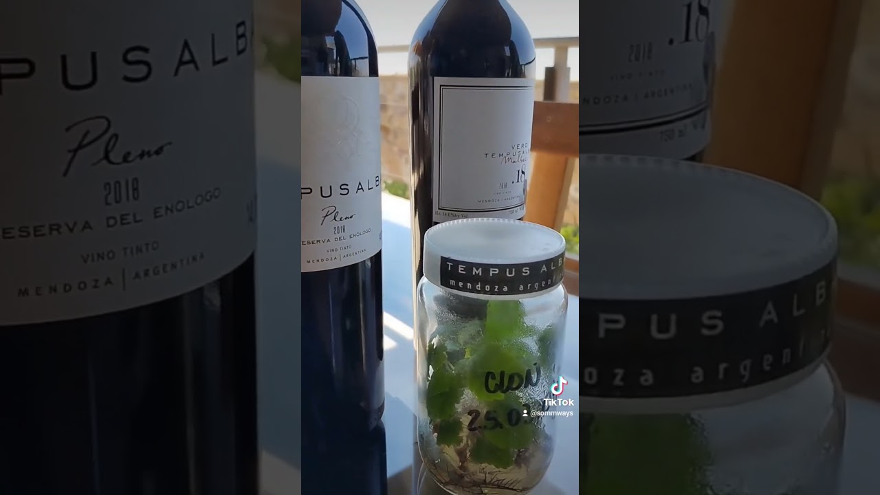 #sommlife #mendoza #argentina
