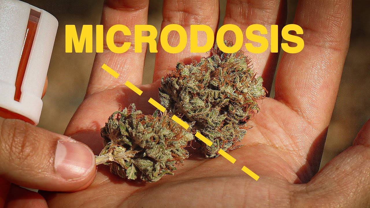 Microdosis de Marihuana: c&oacute;mo encontrarla y c&oacute;mo evitar la tolerancia?