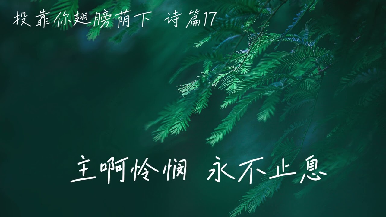 《投靠你翅膀荫下 诗篇17》/赞美诗 / 基督教歌曲 / 敬拜赞美 / 诗歌敬拜 / 诗篇歌曲 / 赞美上帝/灵修/治愈/最新诗歌/热门诗歌