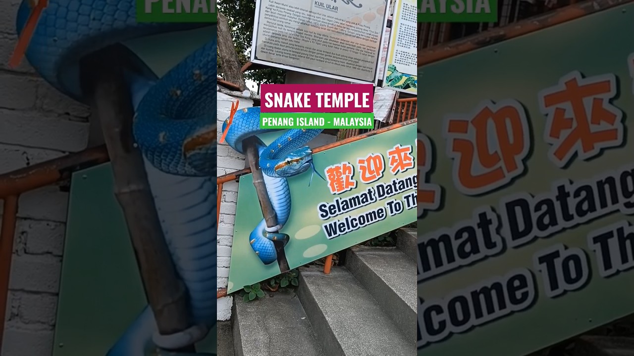 Snake Temple in Penang Island🏝️ | Malaysia 🇲🇾 | The Wandering Soul Dairies