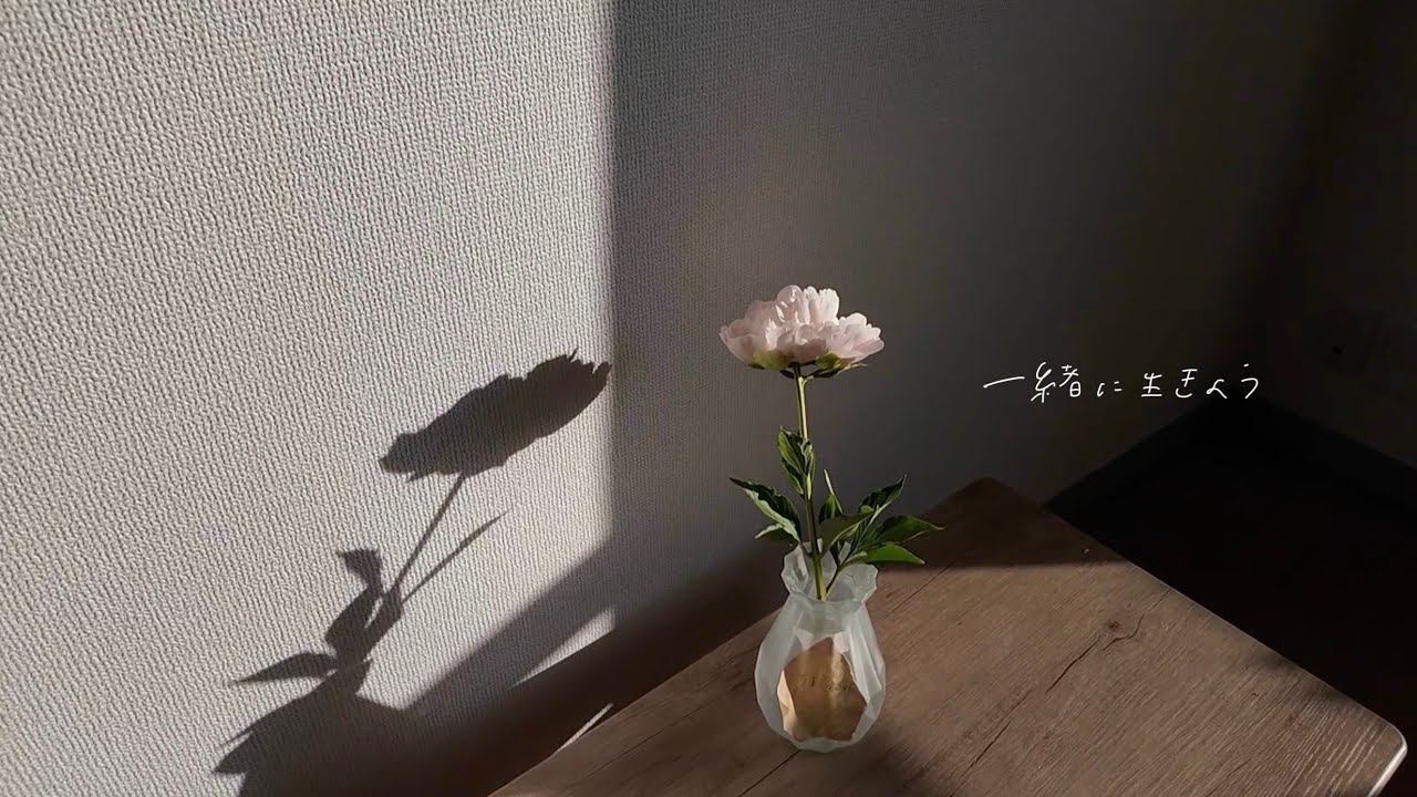 【Vlog】✳︎芍薬とともに生きる🌱 ˚ｽｸｽｸ~