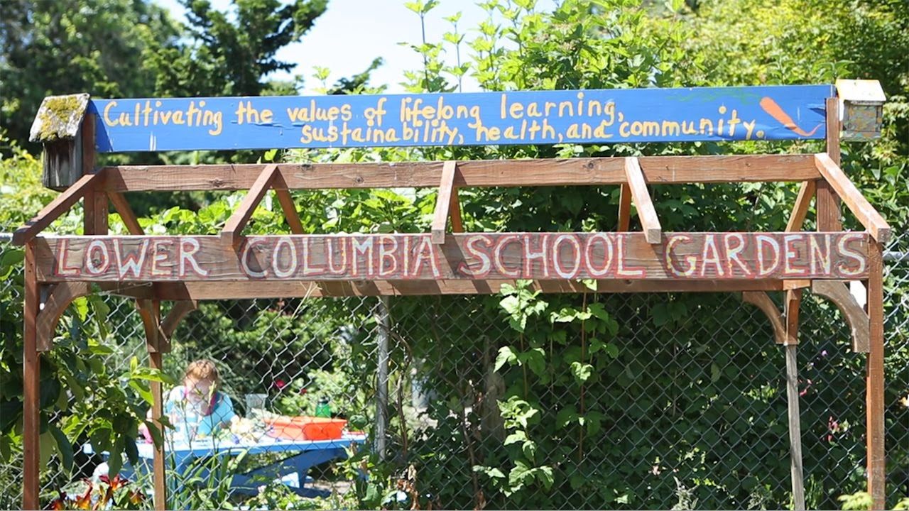Lower Columbia School Gardens, Longview WA