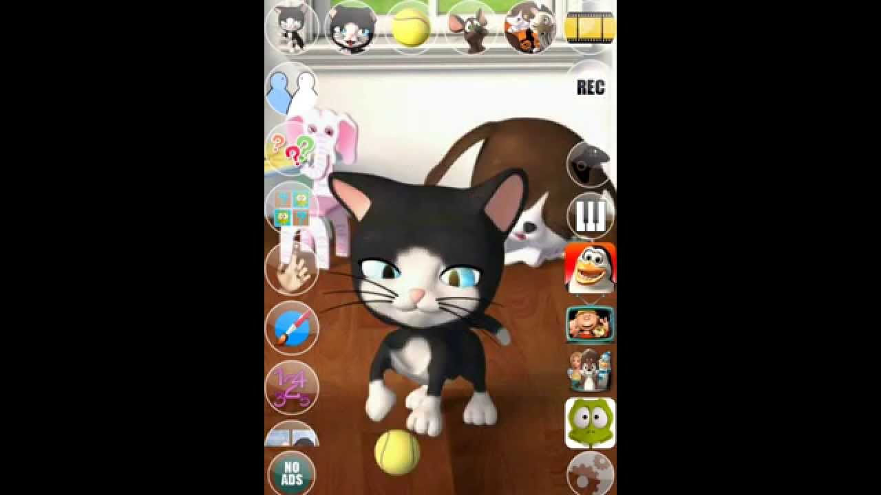 Talking Cat and Dog - Falando Dog Cat