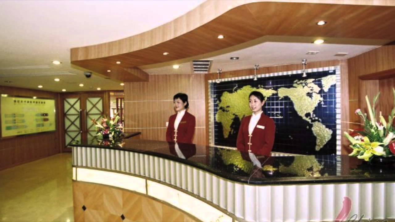 The Structures of the Hotel Industry