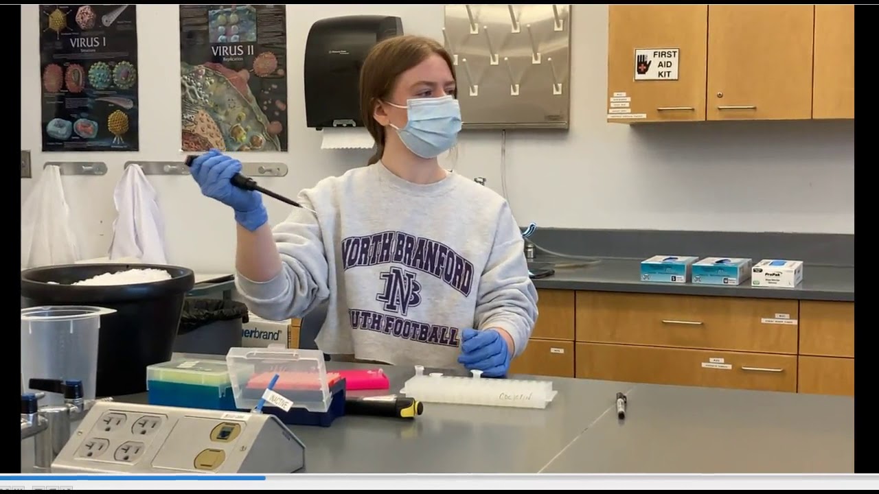 Launen   16S PCR Reaction Setup