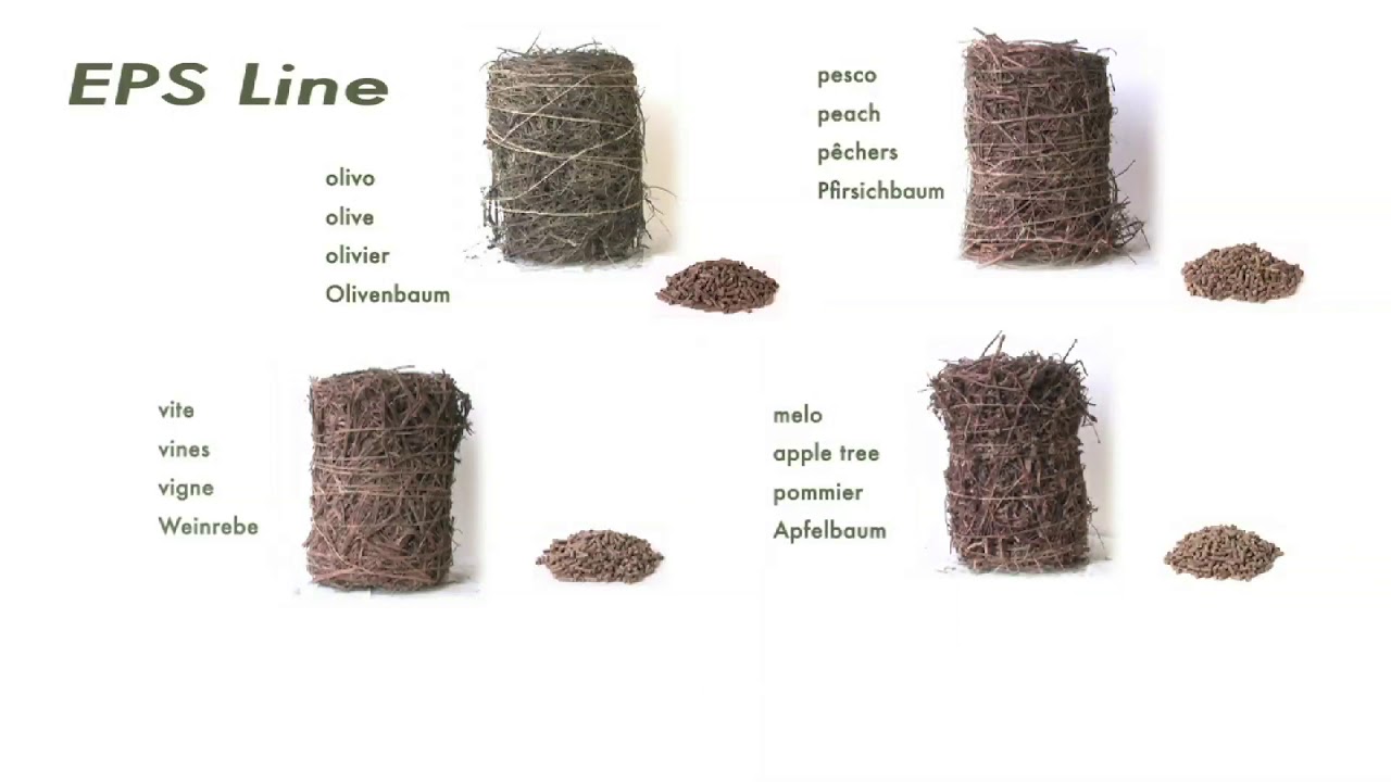 EASYSYSTEM EPS LINE - Pruning and trimming processing