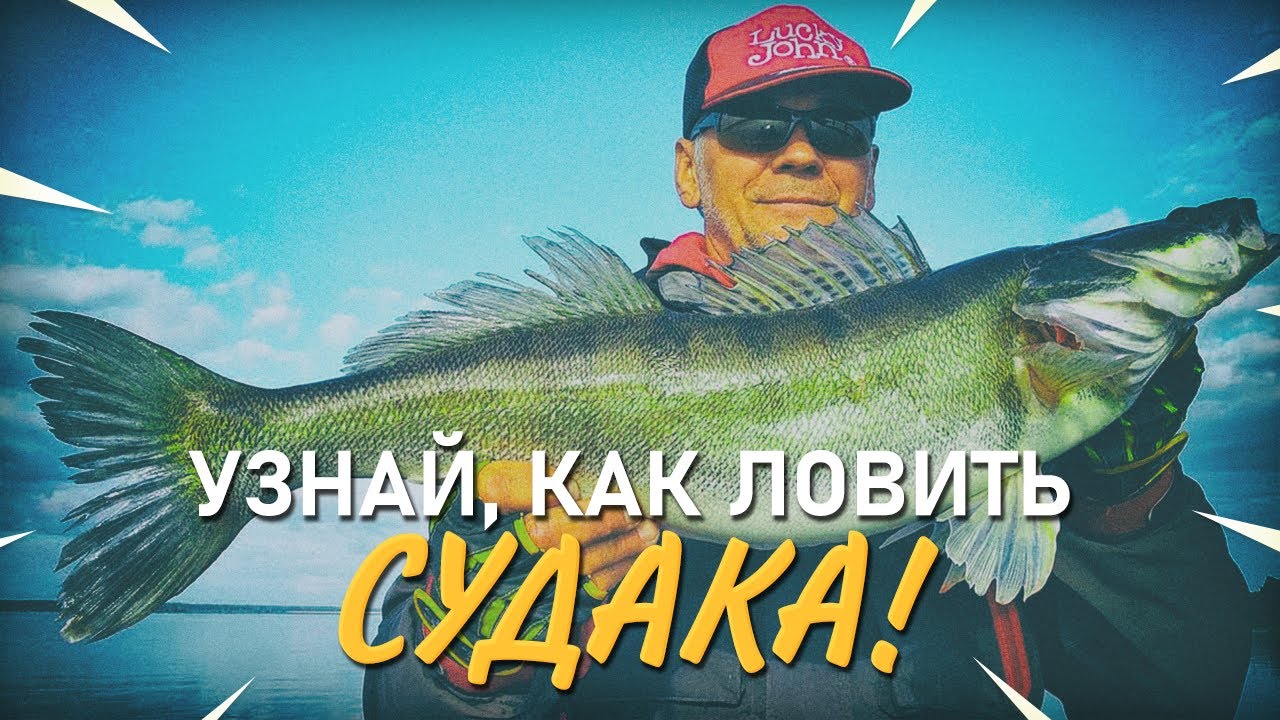 О ловле судака. Практика ловли +1