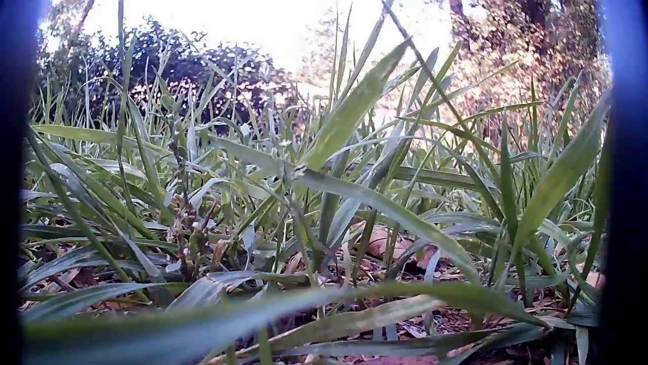 Квадрокоптер bugs 8 съёмка заброшенного дома.