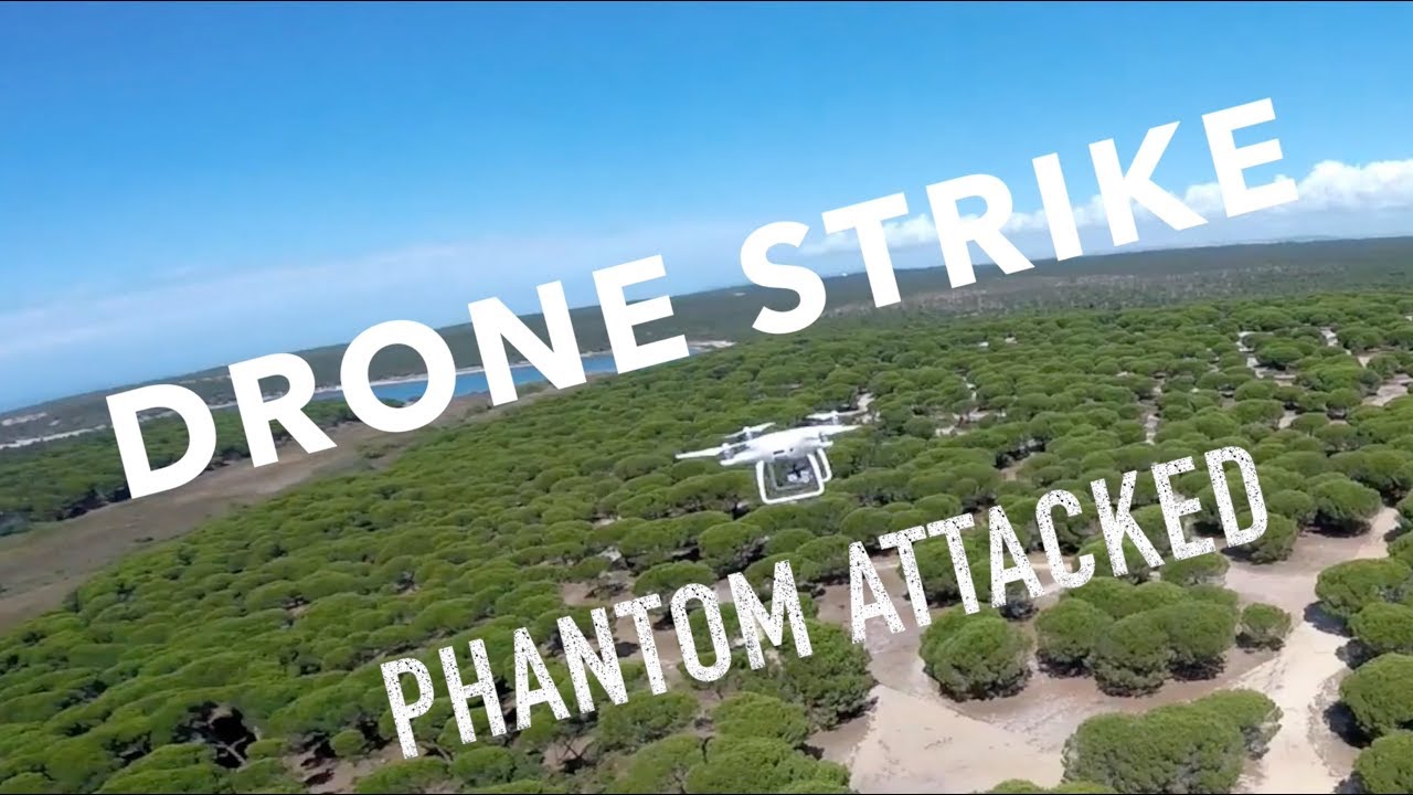Drone Strike - Dji Phantom 4 Pro Attacked by other drones