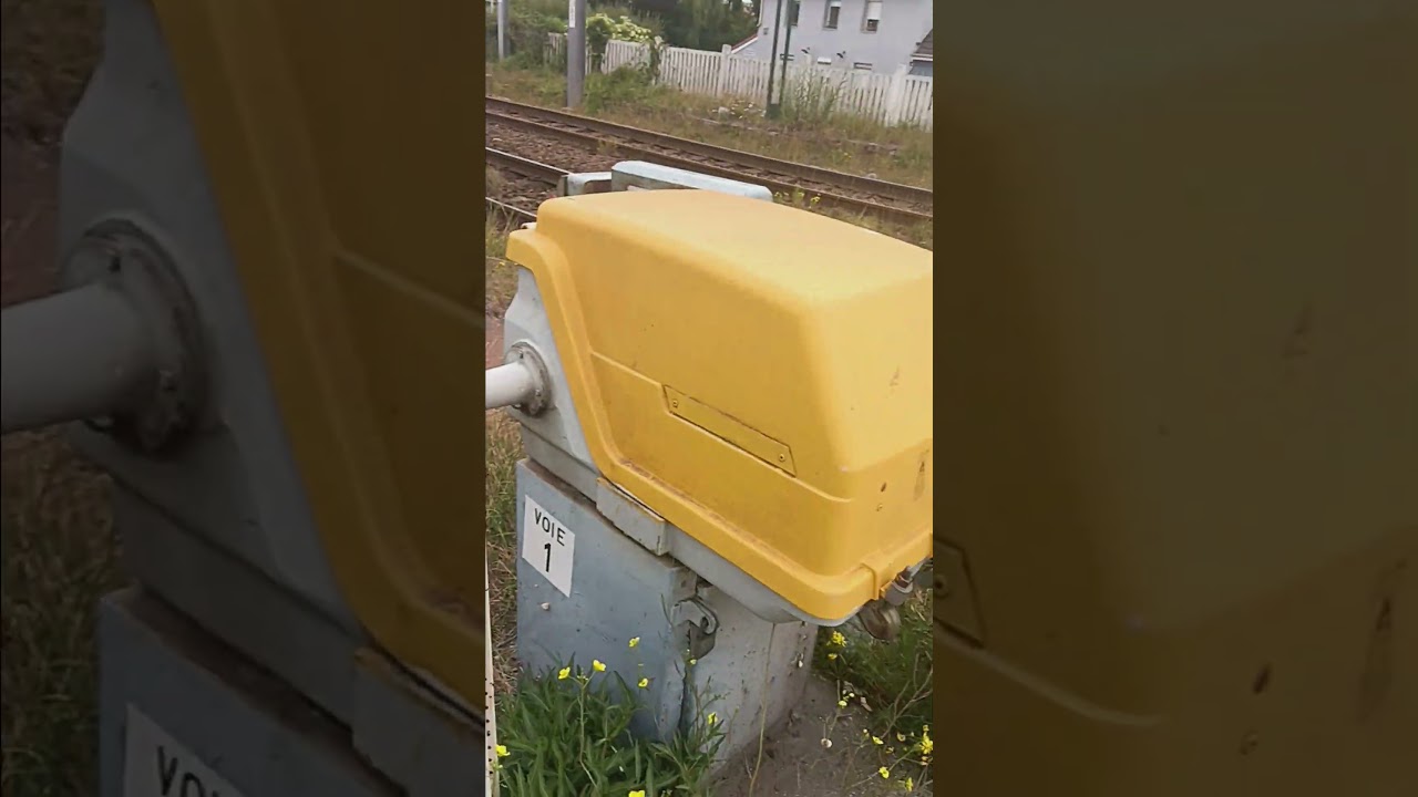 Passage de Fret de Marchandises #dimanche #train #foryou #trainspotting #railway #pourtoi #travel