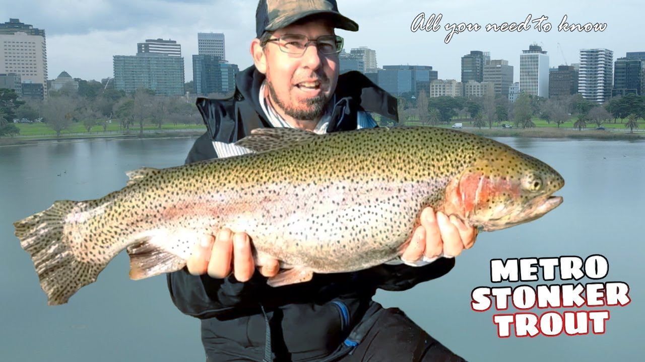 STONKERS | Fishing for GIANT Rainbow Trout around Metro Melbourne