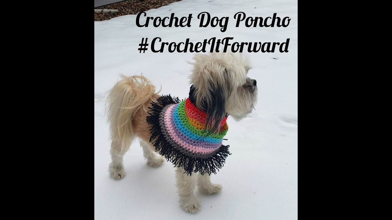 How to Crochet Dog Poncho or Sweater | Crochet Dog Scarf | Crochet Dog Sweater | Easy DIY Dog Scarf