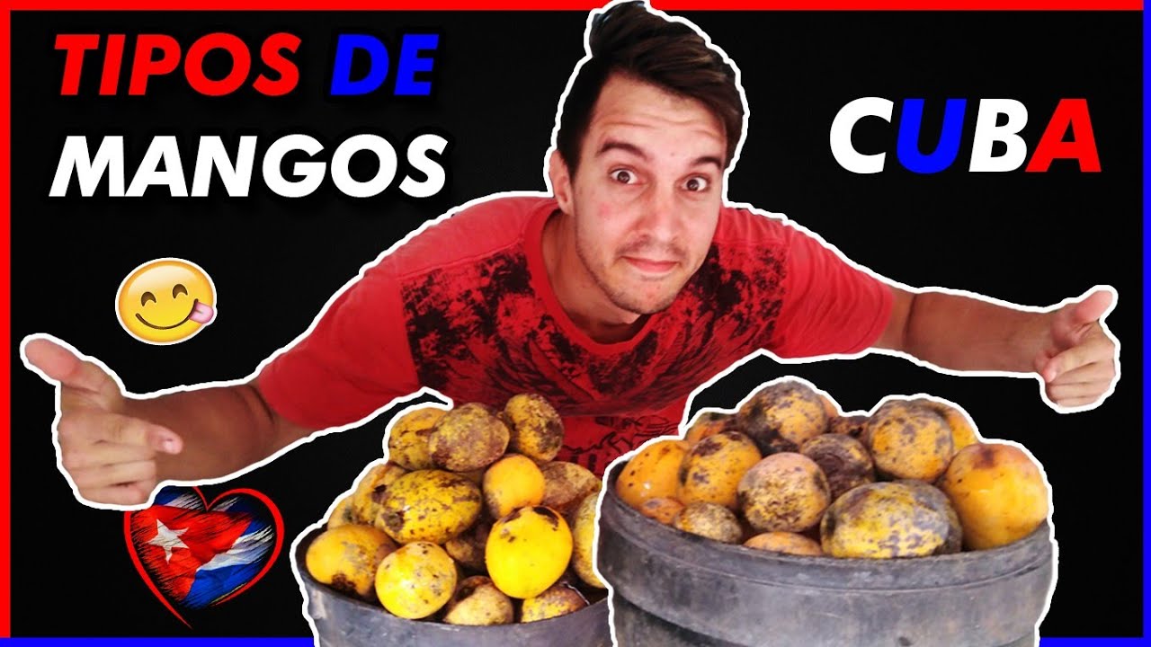 Tipos y Clases de Mangos Cubanos. Que mangos existen en Cuba. Nombres de Mangos Cubanos. el zaceta