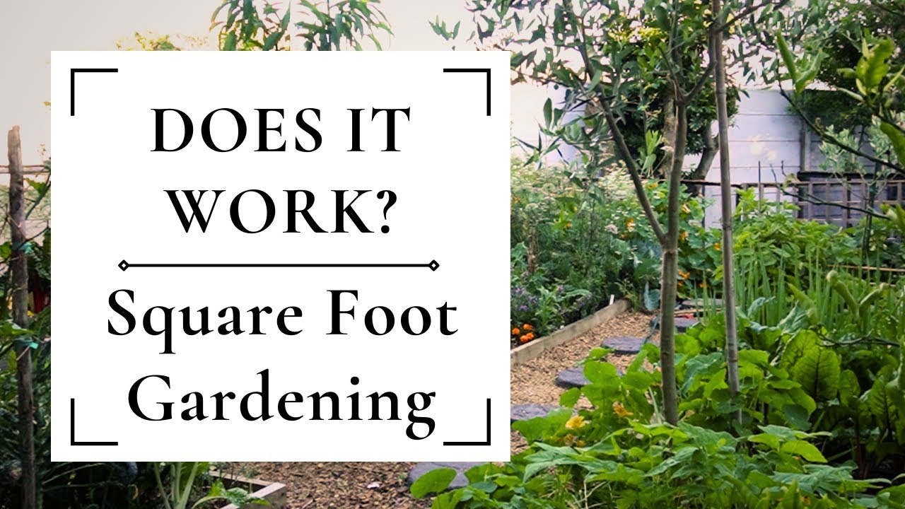 Does Square Foot Gardening and Mel's soil mix actually work?
