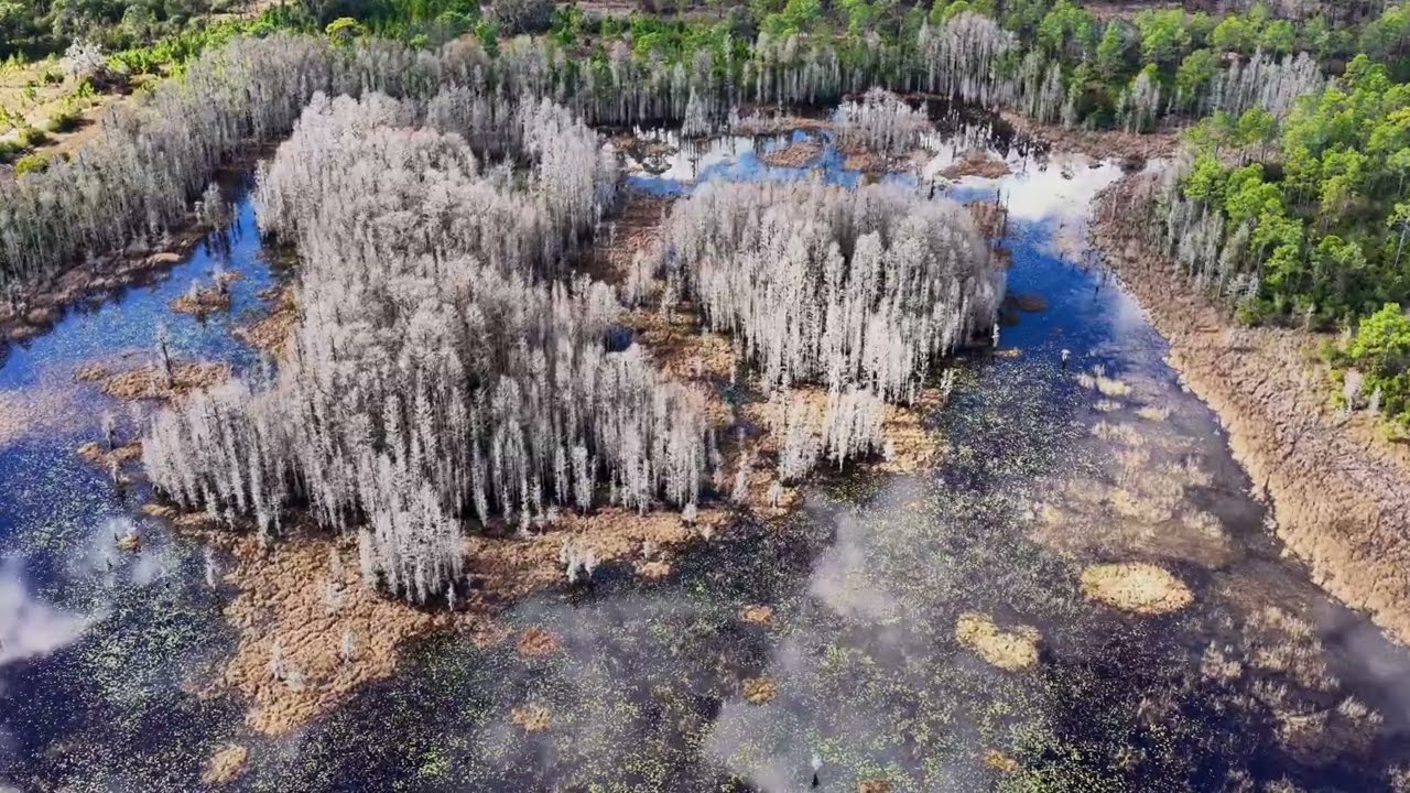 Old Florida Ranch: Hunt, Fish & Explore 1,093 Acres of Conservation Land
