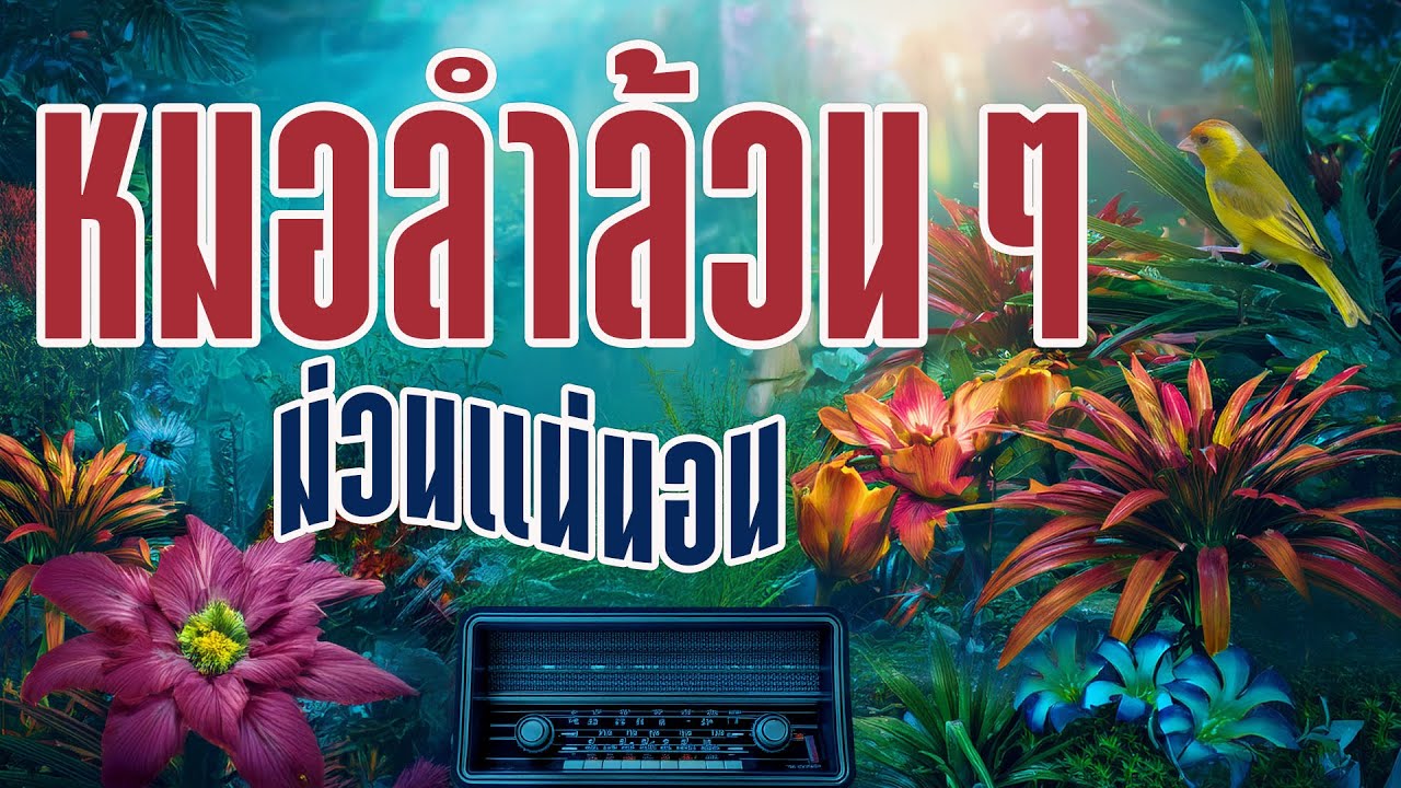 หมอลำล้วนๆ ม่วนแน่นอน : ป.ฉลาดใหญ่ Music Longplay