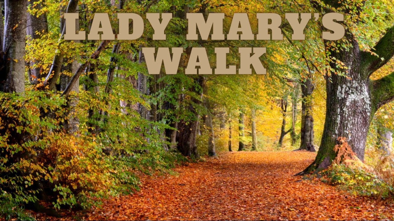 Lady Mary's Walk | Crieff | Scotland