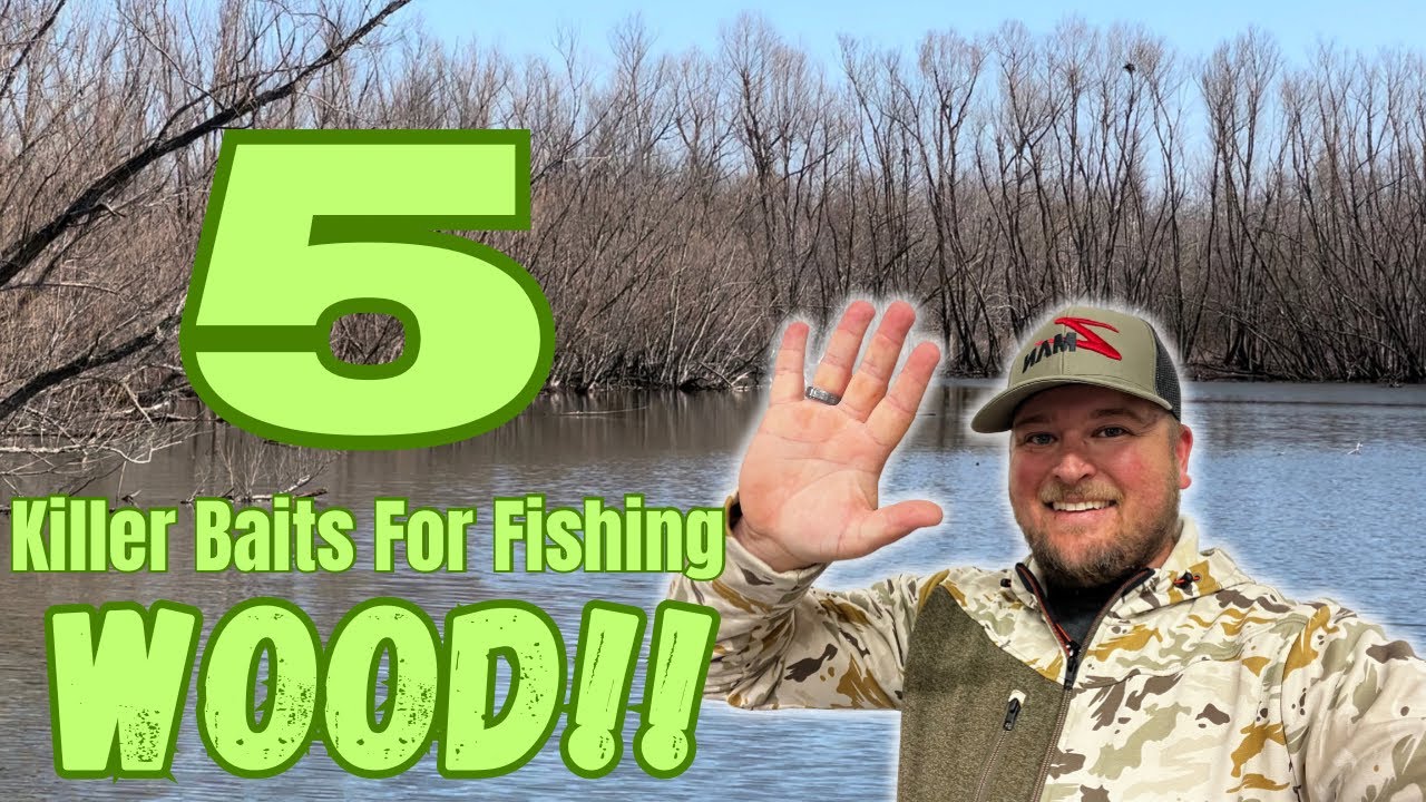 THESE 5 Baits Are PROVEN Big Bass Baits For Fishing WOOD Cover!!