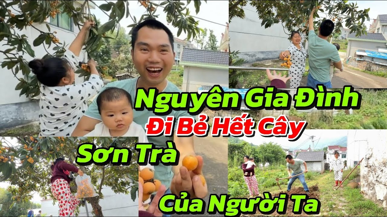 [60]Dâu Việt Lấy Chồng Trung Quốc 🇨🇳 Không Được Đi Làm Ở Nhà Chăm Con,Chồng Là Trụ Cột Kinh Tế Chính