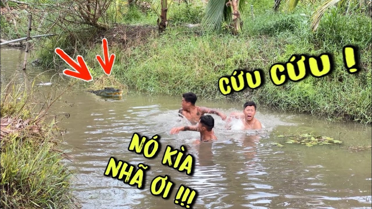 TNB -Thế Nào Nếu Như Thấy Con Vật Này Dưới Nước Kế Bên Mình