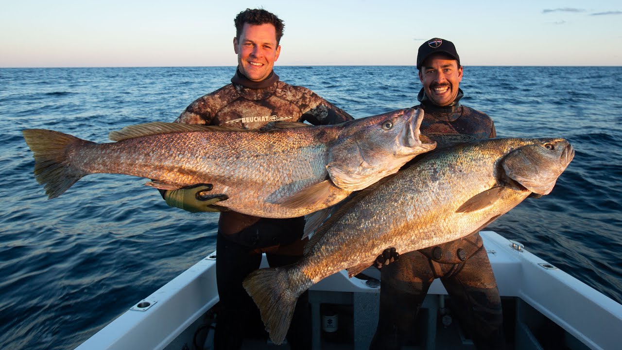 Spearfishing - Mulloway Misadventures 10