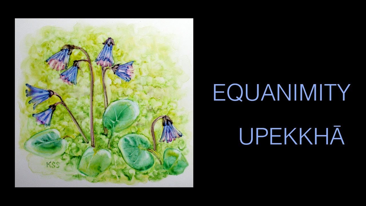 The Ten Perfections: Equanimity or How To Be Cool