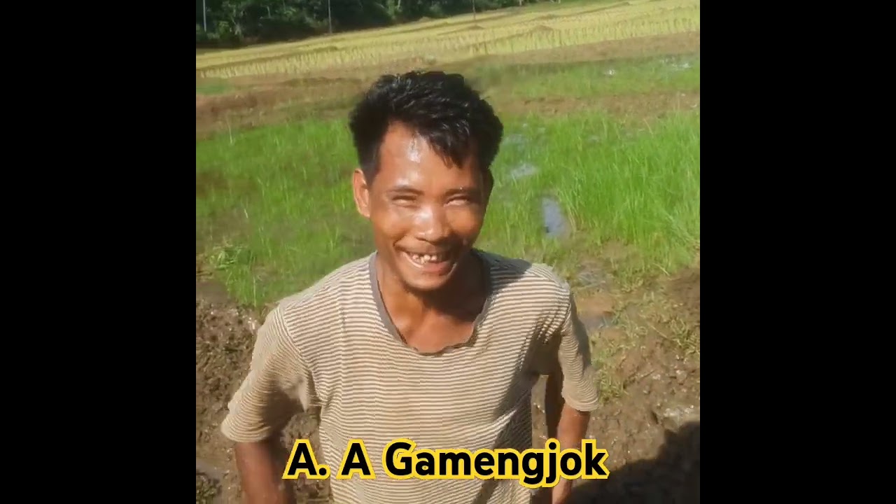 Apal Gamengjok #shortsvideos#viralvideos #taschannelyt #tasytchannel