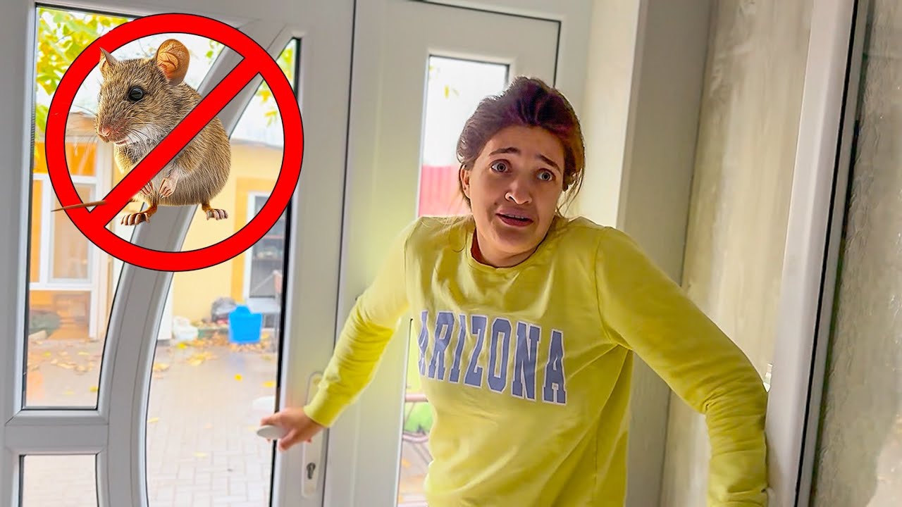 SPERIATE cu un SOARECE / DECORAM TERASA din fata CASEI