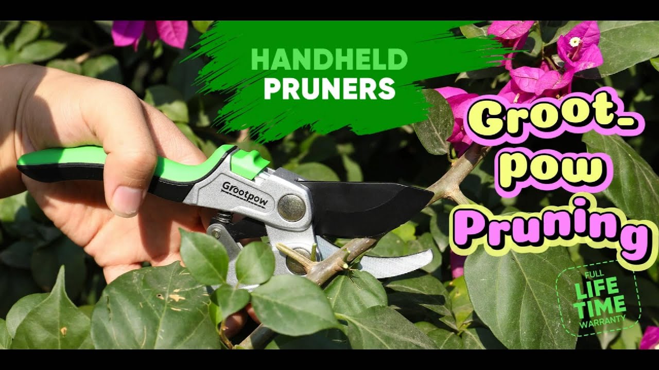 Cut Above the Rest! 🌿 Unveiling Super Sharp Bypass Pruning Shears!Grootpow