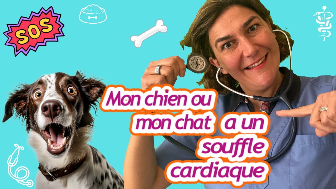 TON CHIEN OU CHAT A UN SOUFFLE CARDIAQUE : QUE FAIRE ??
