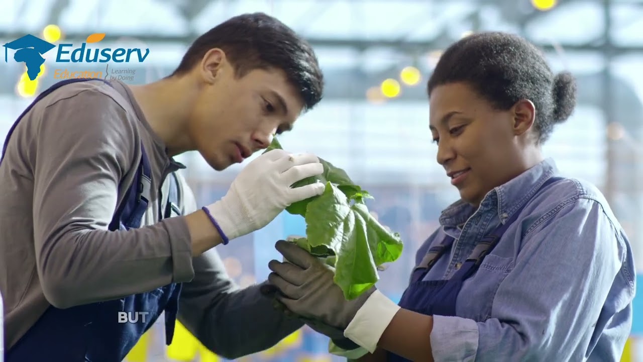 AGRICULTURE PAID INTERNSHIP IN DENMARK!
