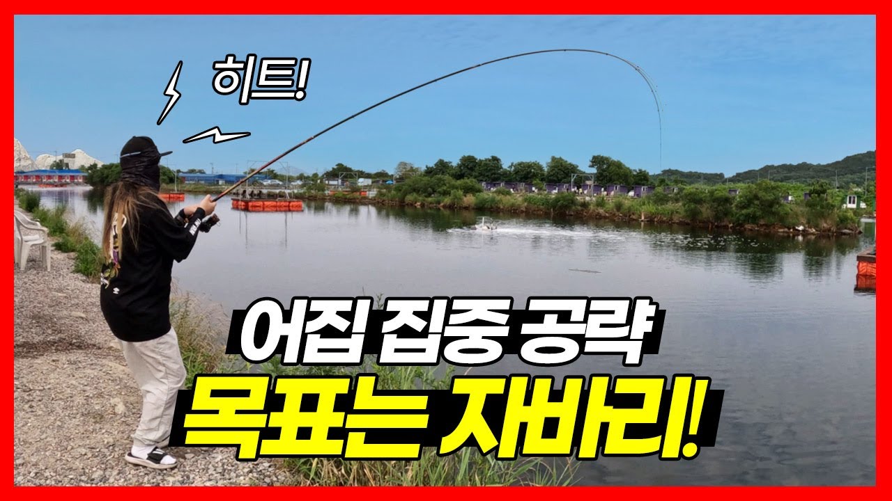 만정바다낚시터에서 올해 첫 자바리 성공했어요! 어집 / 어도 / 가두리 공략하세요!