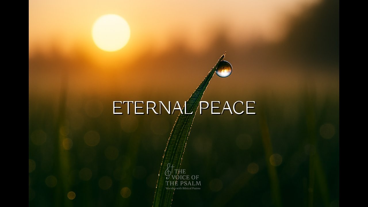 Eternal Shield surrounds your spirit with peace and trust, guiding you into God’s.