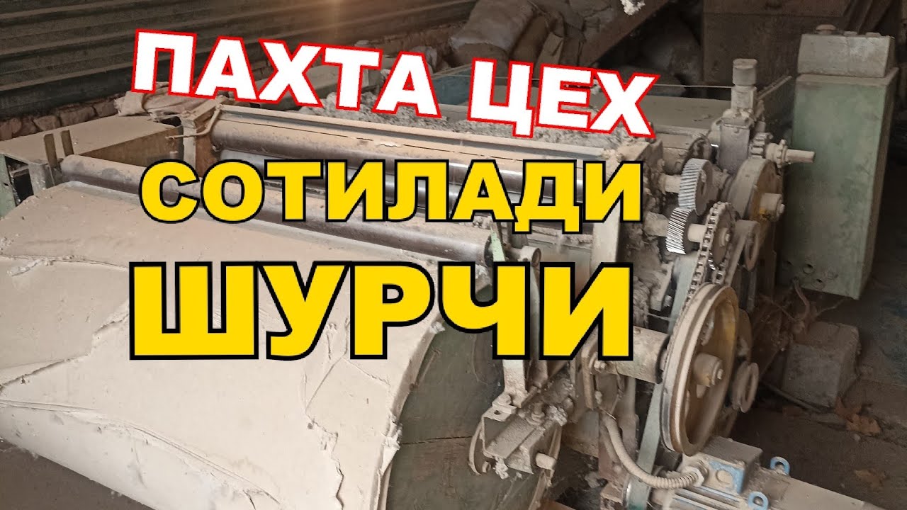#сурхондарё#янгиликлари# шурчи туманида тайор бизнес сотувда+998959374800