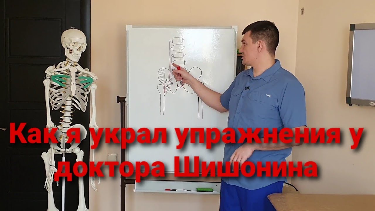 Самая важная мышца поясницы. Почему я украл упражнения у доктора Шишонина