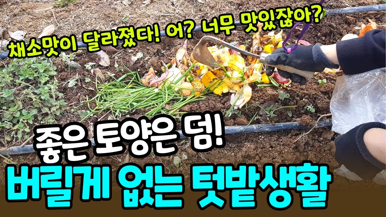 음식쓰레기와 잡초를 텃밭에서 이용하는 편리한 방법/텃밭을 퇴비장, 지렁이사육장으로 만들어보자! 건강한 토양과 맛있는 채소가 따라와요~