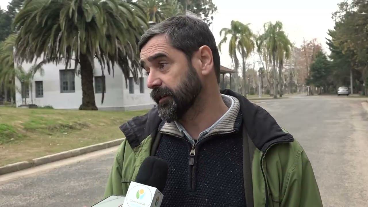 Intendencia de Canelones detectó insecto que mató a más de 160 palmeras en el departamento