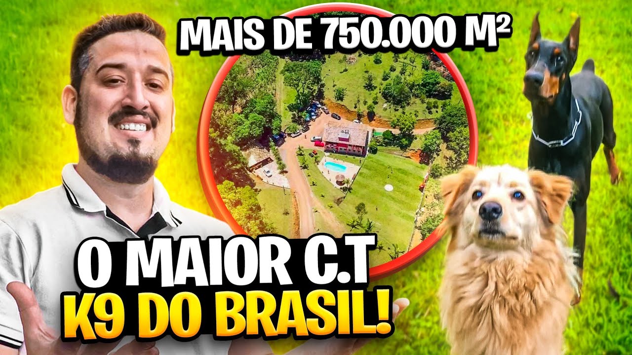 O MAIOR CENTRO DE TREINAMENTO K9 DO BR!