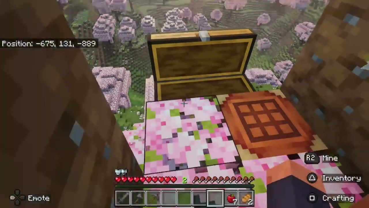 Minecraft Shenanigan's 5.0 Part 1