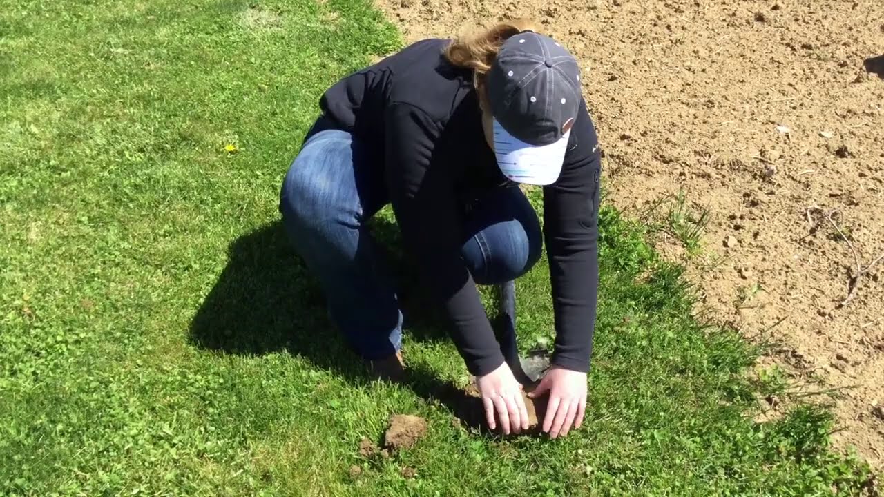 Garden Soil Sampling How To