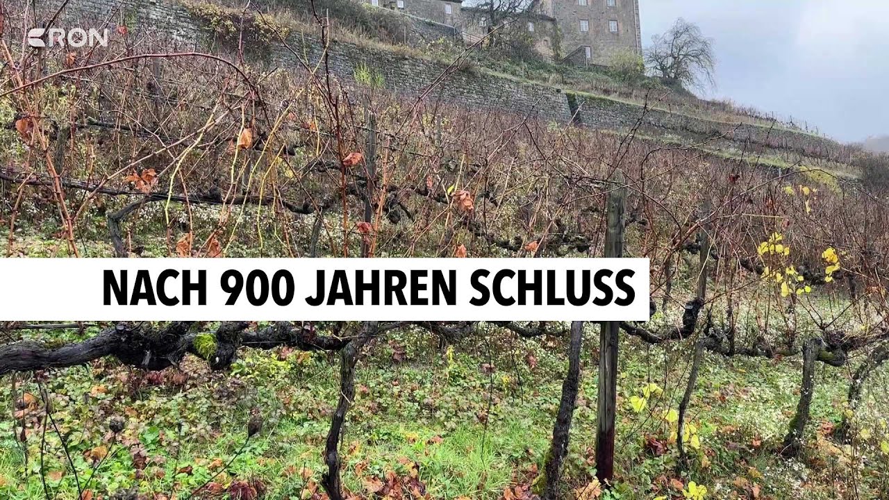 Weingut Burg Hornberg stellt Weinbau ein | RON TV