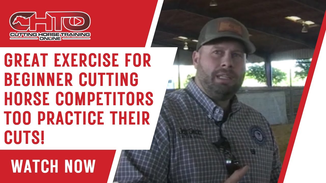 Great Exercise For Beginner Cutting Horse Competitors Too Practice Their Cuts!