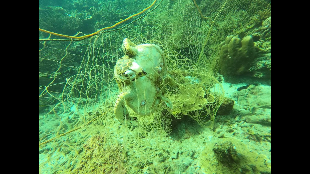Ghostnets: Silent Killers of Our Oceans
