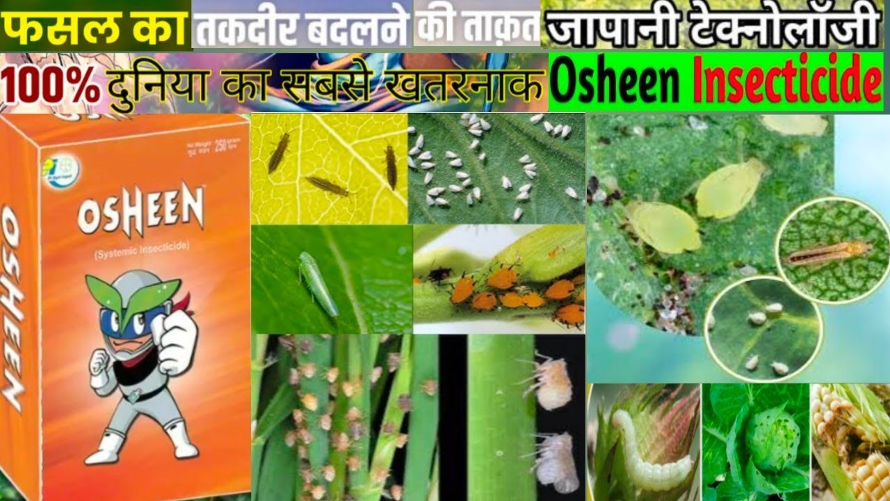 Osheen insecticide|PI Industries Osheen (Dinotefuran 20 % SG) Insecticide|Osheen Ultra Dinotefuran|