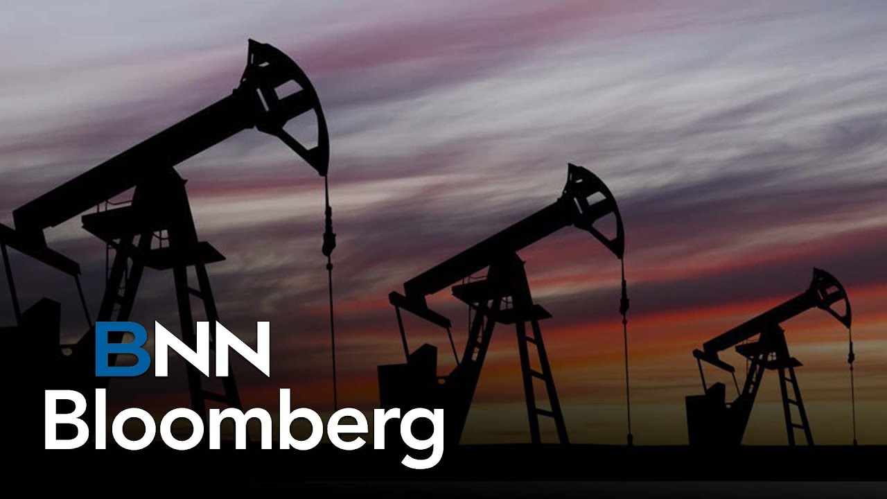 We don't look for the $20 million wells: Surge Energy CEO