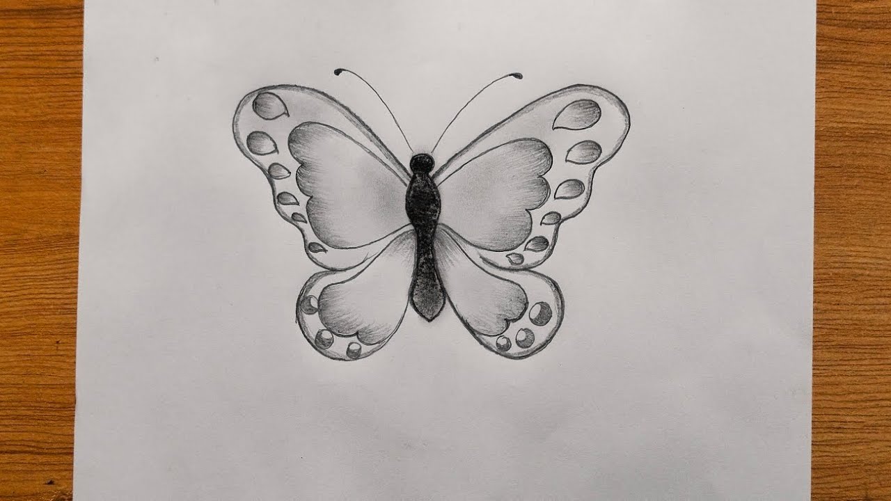 How to draw a Butterfly drawing easily 