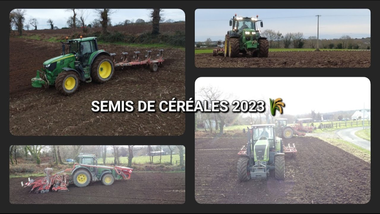 SEMIS DE CÉRÉALES 2023 🌾
